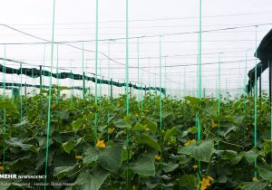 افتتاح پروژه های کشاورزی با اعتبار یک هزار و ۶۰۳ میلیارد ریال – خبرگزاری مهر | اخبار ایران و جهان