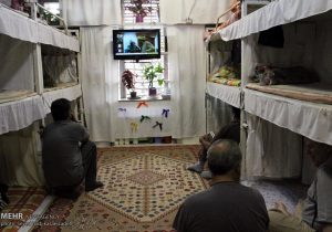 افزایش ۳۰درصدی نظارت‌ها بر سازمان زندان‌ها – خبرگزاری مهر | اخبار ایران و جهان