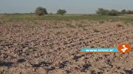 خشکسالی در قزاقستان