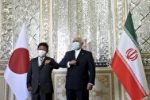 دیدار وزیر خارجه ژاپن با ظریف