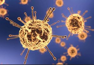 گزارش جامعه اطلاعاتی آمریکا در مورد منشأ ویروس کرونا منتشر شد – خبرگزاری مهر | اخبار ایران و جهان