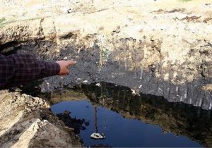 ۲۰۰ هزار تن خاک آلوده به مازوت در پناهگاه حیات وحش – خبرگزاری مهر | اخبار ایران و جهان