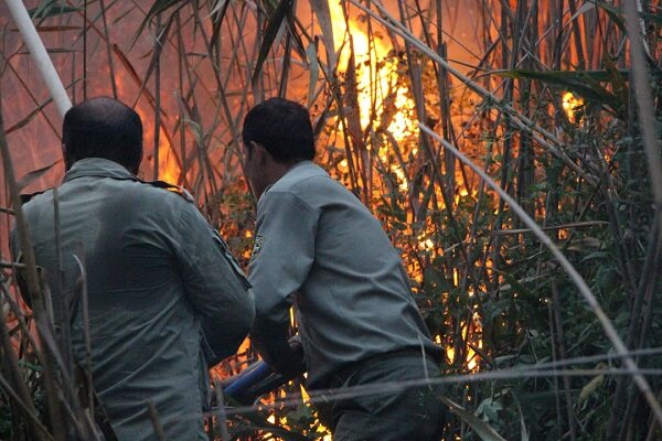 آتش طمع سودجویان به جان اراضی تالاب انزلی 