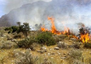 اطفا آتش‌سوزی منطقه کیامکی/ ۱۰ هکتار از پوشش گیاهی بکر آذربایجان‌شرقی طعمه حریق شد