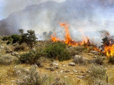 اطفا آتش‌سوزی منطقه کیامکی/ ۱۰ هکتار از پوشش گیاهی بکر آذربایجان‌شرقی طعمه حریق شد