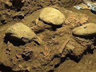 شناسایی نوجوان ۷۲۰۰ ساله ای که نسلش منقرض شد