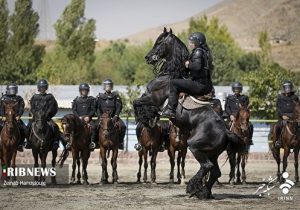 از یگان اسب سواران نیروی انتظامی تا امنیت در مرز