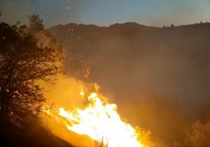 آتش سوزی جنگل های ارسباران مهار شد/ نابودی ۱۵۶ هکتار پوشش گیاهی قره داغ دوسال!