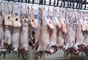بی ثباتی قیمت گوشت در بازار ایلام