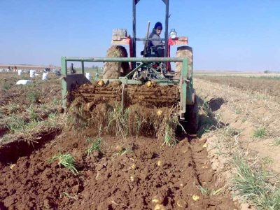 فریاد کشاورزان دهگلانی از قطعی برق/انتقاد شدید از مدیر عامل برق کردستان