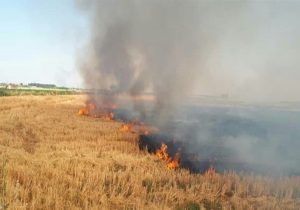 مهار آتش در ۷ هکتار اراضی کشاورزی و مراتع اهر