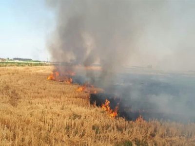 مهار آتش در ۷ هکتار اراضی کشاورزی و مراتع اهر
