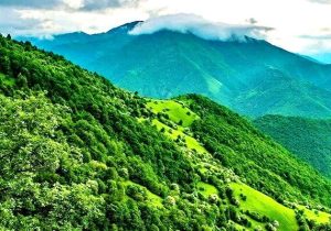 جنگل های دیزمار آذربایجان شرقی ثبت جهانی شد
