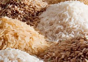 فسادی در واردات برنج نداشتیم/امسال کمتر از ۸۰۰هزارتن برنج وارد شد – پایگاه خبری خبرنگار پایگاه خبری و تحلیلی امین ارسباران | اخبار ایران و جهان