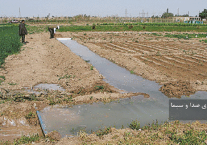 اجرای طرح یکجا کِشتی در اراضی کوچک شهرستان بستان‌آباد