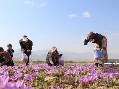 پرداخت ۱۵۰ میلیارد ریال تسهیلات اشتغالزایی در ملکان