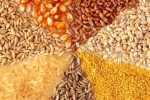 قیمت مصوب جدید نهاده های دامی، روغن و شکر خام اعلام شد