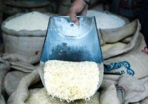 ریزش قیمت برنج آغاز شد