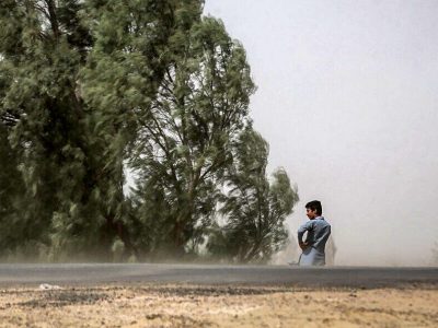 وزش بادهای جنوبی در استان بوشهر تداوم دارد