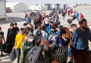 تاثیر عجیب خروج اتباع بر بازار کار ایران