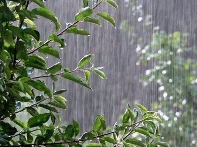 تهرانی‌ها منتظر طوفان شدید و بارش باران باشند