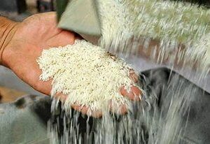 قیمت برنج در میادین و بازارهای میوه و تره‌بار شهرداری تهران اعلام شد