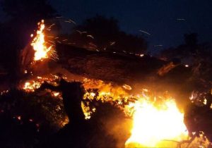 آتش سوزی یک ساختمان مسکونی در جنوب غرب تهران؛۴عضو خانواده جان باختند
