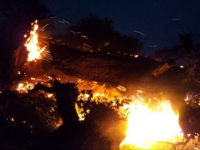آتش سوزی یک ساختمان مسکونی در جنوب غرب تهران؛۴عضو خانواده جان باختند