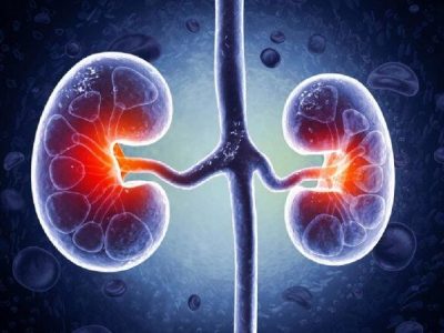 درمان جدید نارسایی کلیه کشف شد