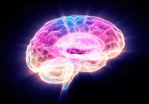 محققان با خاموش‌کردن یک پروتئین، پیری مغز را در موش‌ها معکوس کردند