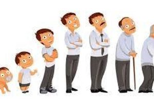 آیا با بالا رفتن سن، قد ما واقعاً کوتاه می‌شود؟