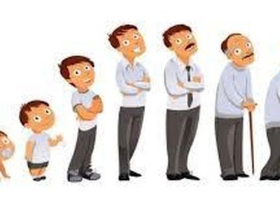 آیا با بالا رفتن سن، قد ما واقعاً کوتاه می‌شود؟