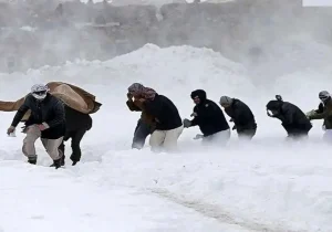 مرزبانان جان ۱۶۰۰ افغانستانی را نجات دادند