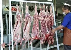 گوشت ارزان به بازار آمد