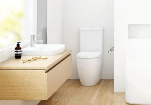 توالت چگونه اختراع شد؟ نگاهی به سیر تکامل سرویس‌های بهداشتی