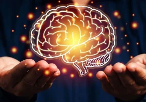 ۵ دوره ساختاری مغز؛ کشف نقاط عطف سیم کشی عصبی از تولد تا کهنسالی/ تصاویر