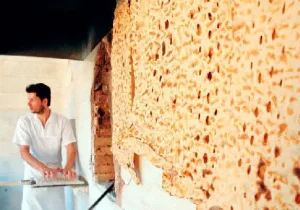 یارانه آرد و نان افزایش یافت
