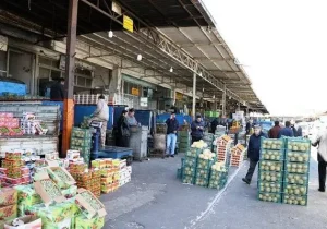 بازار سنگین میوه و تربار؛ روزی ۱۵۰۰ تن میوه روی دست می‌ماند!