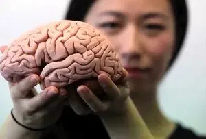 چه کنیم مغزمان جوان‌ بماند؟