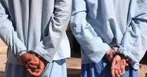 مقاومت شجاعانه کودک در برابر آدم‌ربایی/ ویدئو