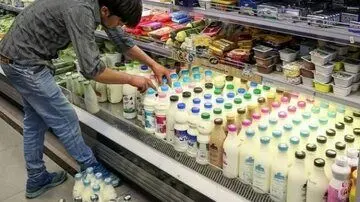 با افزایش قیمت شیر، احتمال گران شدن ۵۰درصدی لبنیات وجود دارد