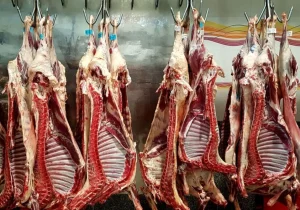 قیمت گوشت قرمز چهارشنبه ۲۹ بهمن ۱۴۰۴ + جدول