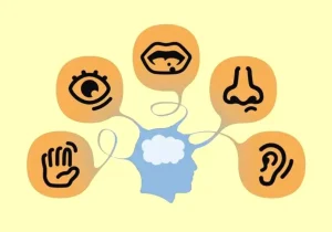 کشف شگفت‌انگیز دانشمندان؛ انسان ۳۳ حس دارد، نه ۵ تا!