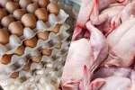 سقوط آزاد مصرف مرغ و تخممرغ در کشور