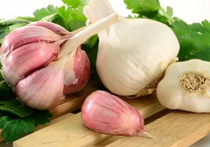 سیر را چطور بخوریم که بیشترین فایده را داشته باشد؟/ ویدئو