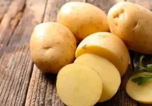 سیب زمینی های سبز و جوانه زده خطرناک هستند؟