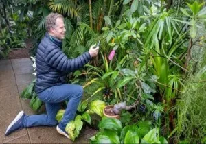 گفتگو با گیاهان ممکن شد