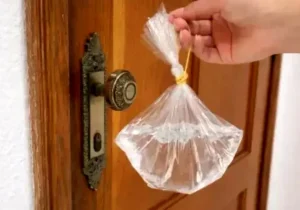 راز آویزان کردن کیسه آب جلوی در خانه های قدیمی چیست؟/ ویدئو